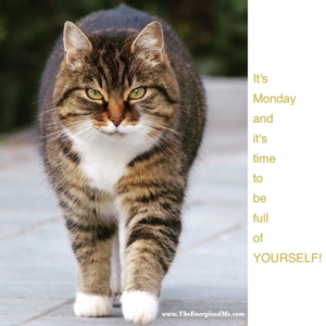 Read more about the article Be full of yourself!