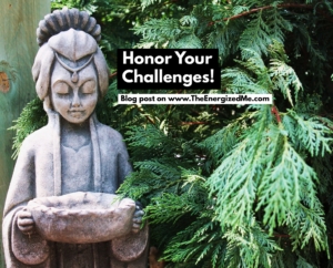Read more about the article Honour your challenges!
